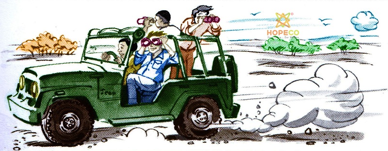 On-the-trail-of-the-honey-badger